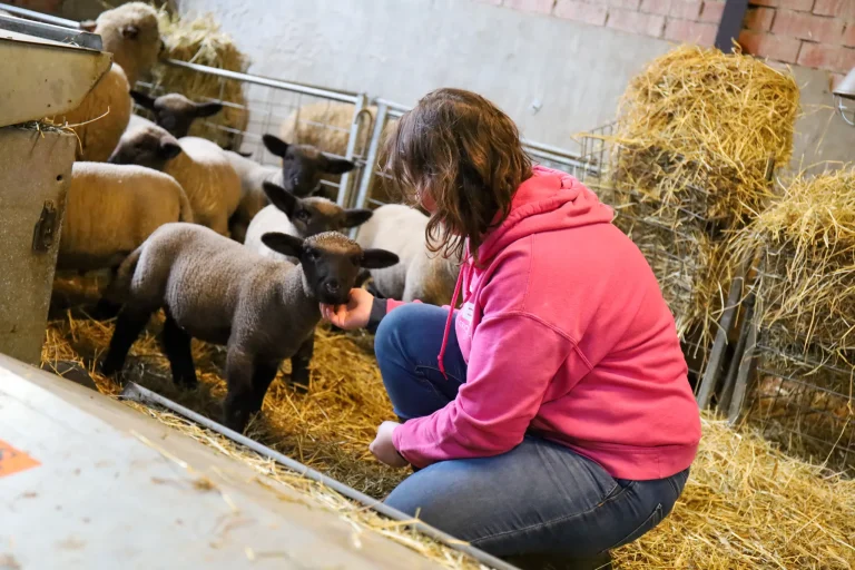 UK and Wales study reveals low mental wellbeing in 1/3 of women in ag