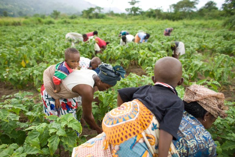 Women farmers’ access to justice and resources centre stage at FAO Rome’s hq for International Women’s Day 2026